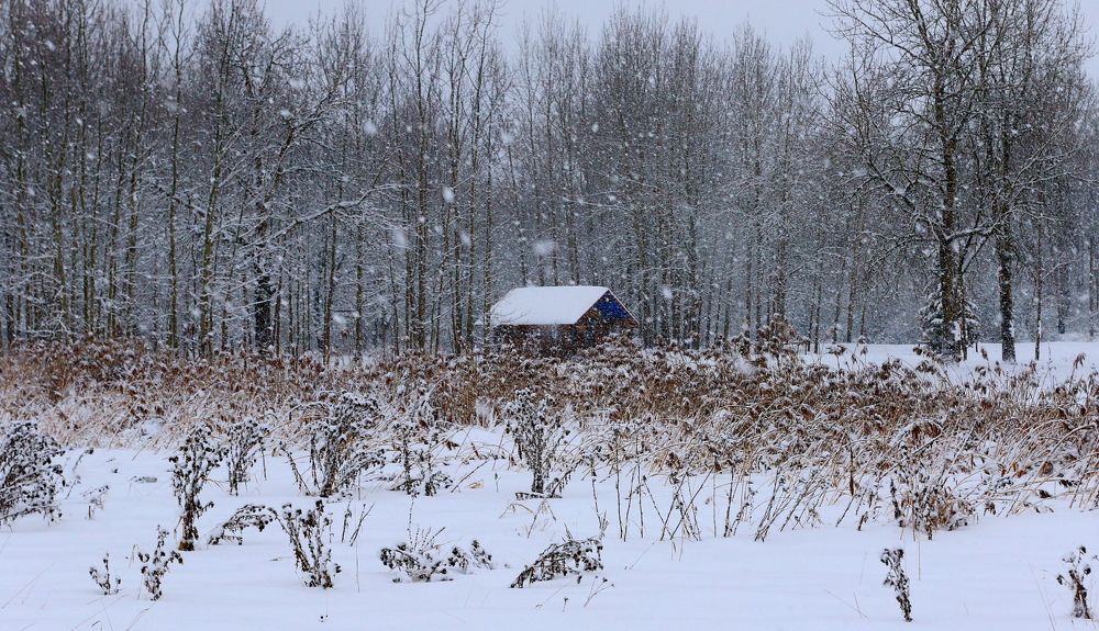 Photograph by Николай Кондаков