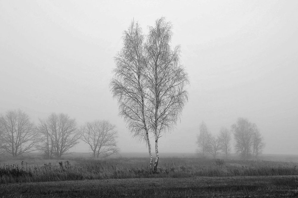 Photograph by Cергей Абакумов