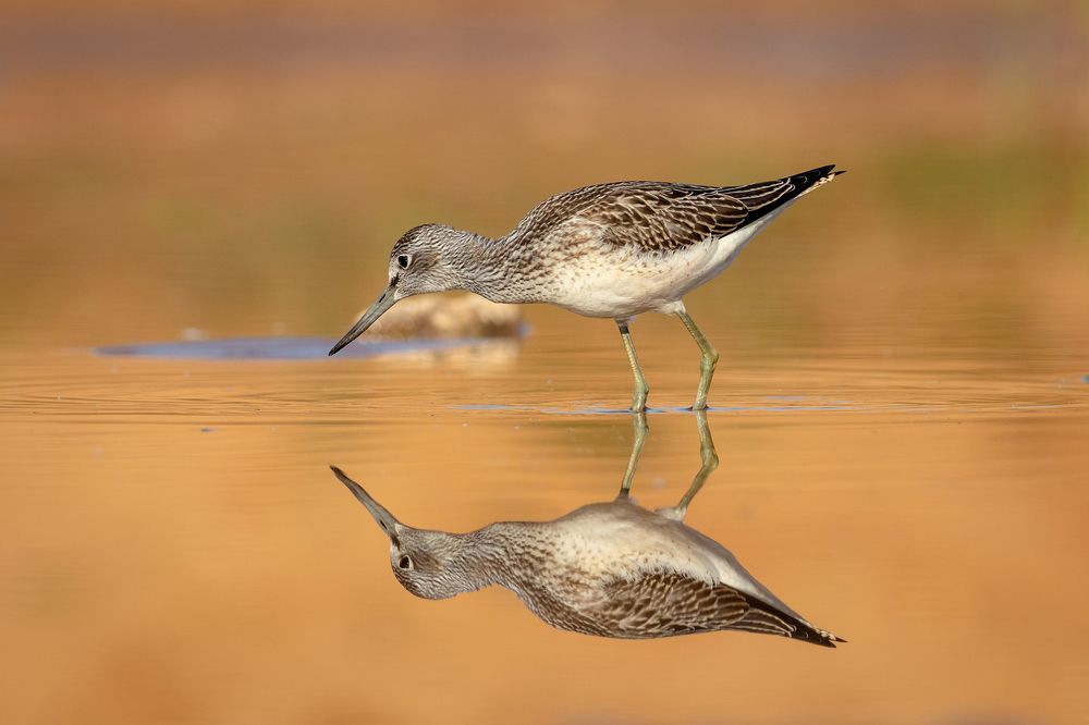 Photograph by Павел Краснослободцев