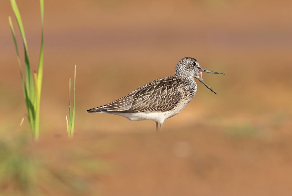 Photograph by Павел Краснослободцев
