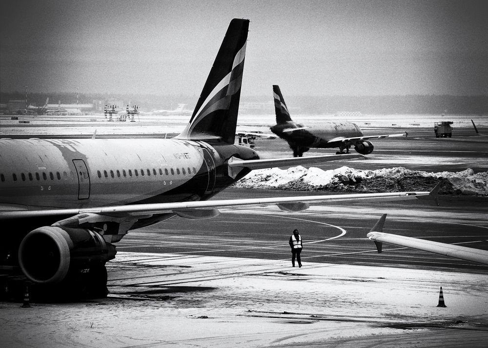 Фотография автора Елена Лаврова