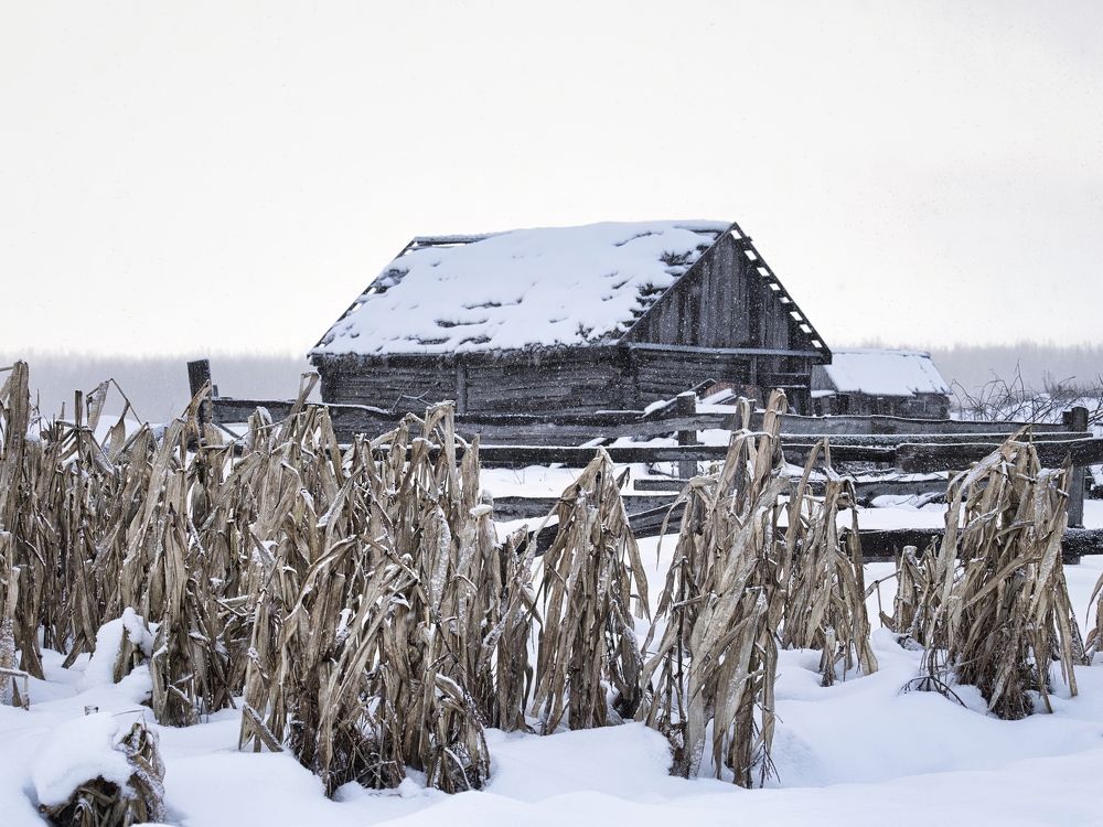 Зимний урожай