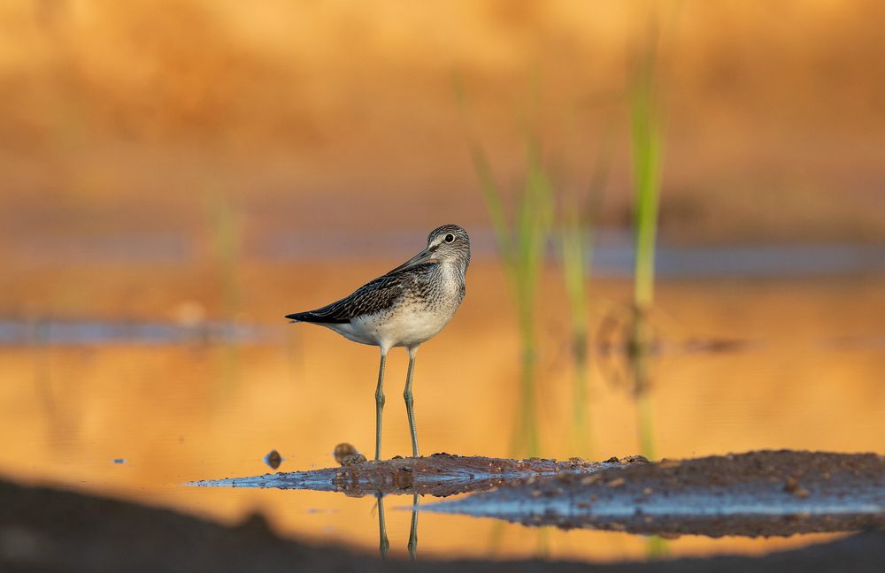 Photograph by Павел Краснослободцев
