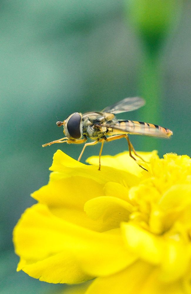 Photograph by Олеся zme