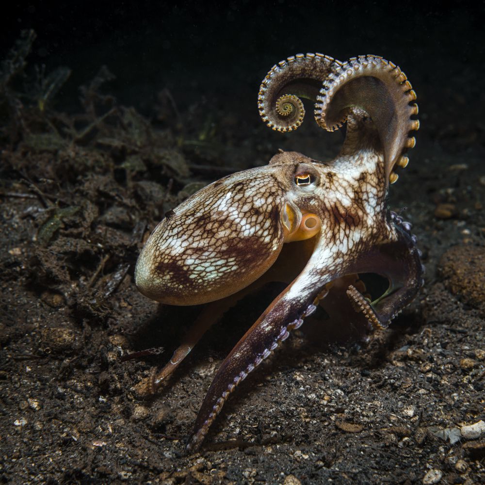 Photograph by Савин Андрей