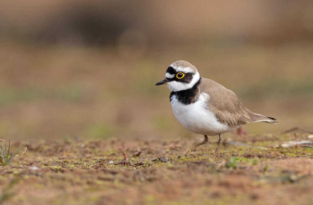 Photograph by Павел Краснослободцев