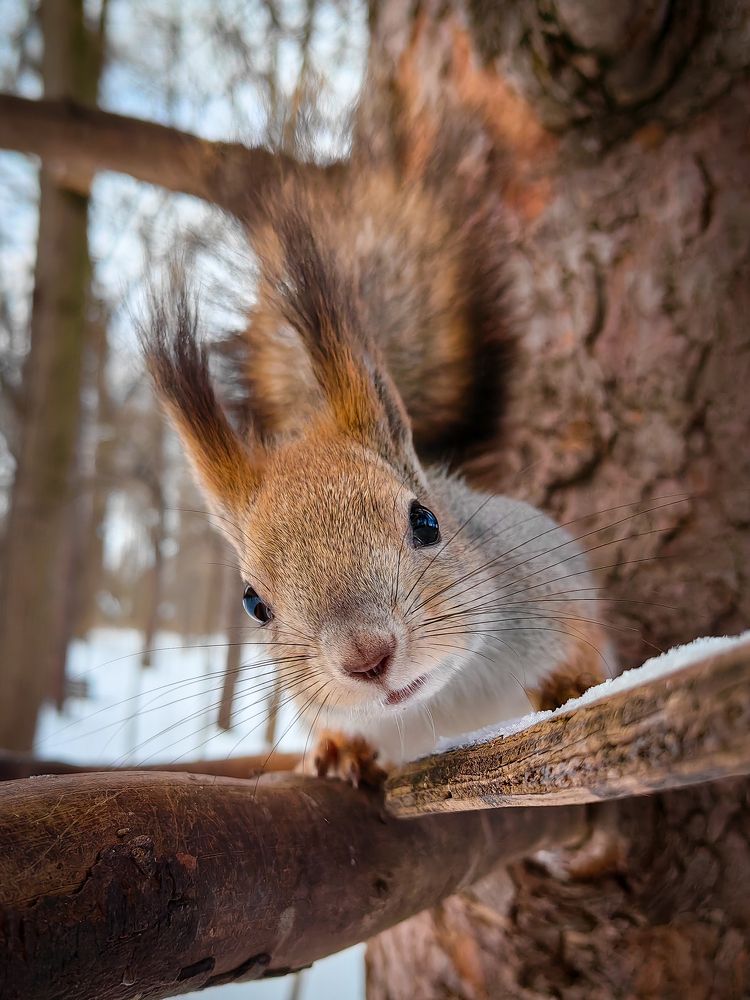 Photograph by Роман Алябьев
