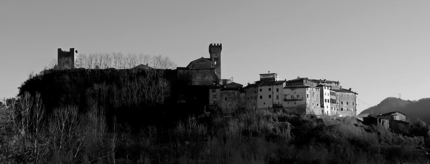 Photo #10250533
