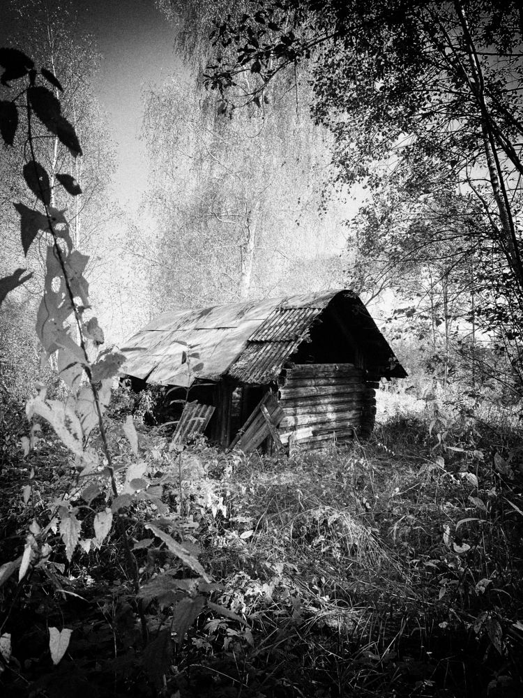 Photograph by Ершов Сергей