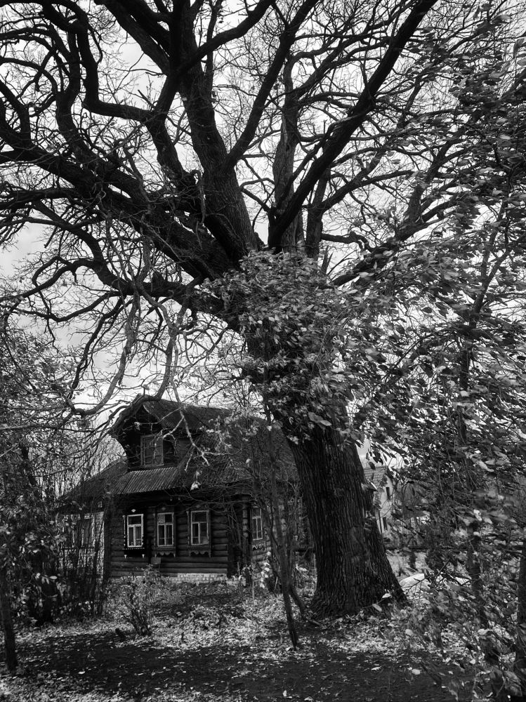 Photograph by Ершов Сергей