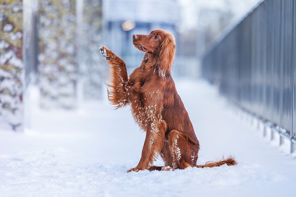Photograph by Шитиков Владимир