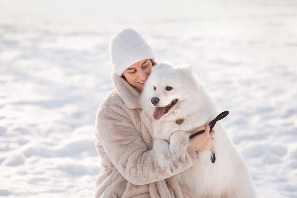 Photograph by Любовь Покацкая