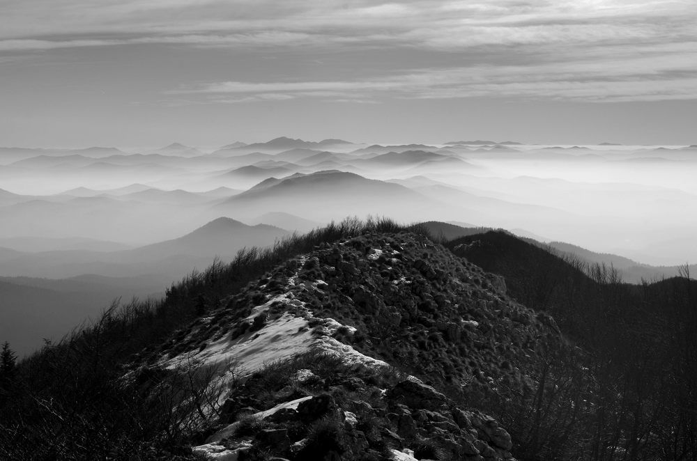 Photograph by Damir Gržin