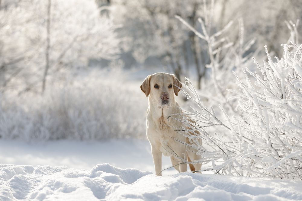 Photograph by Мария Шерскова