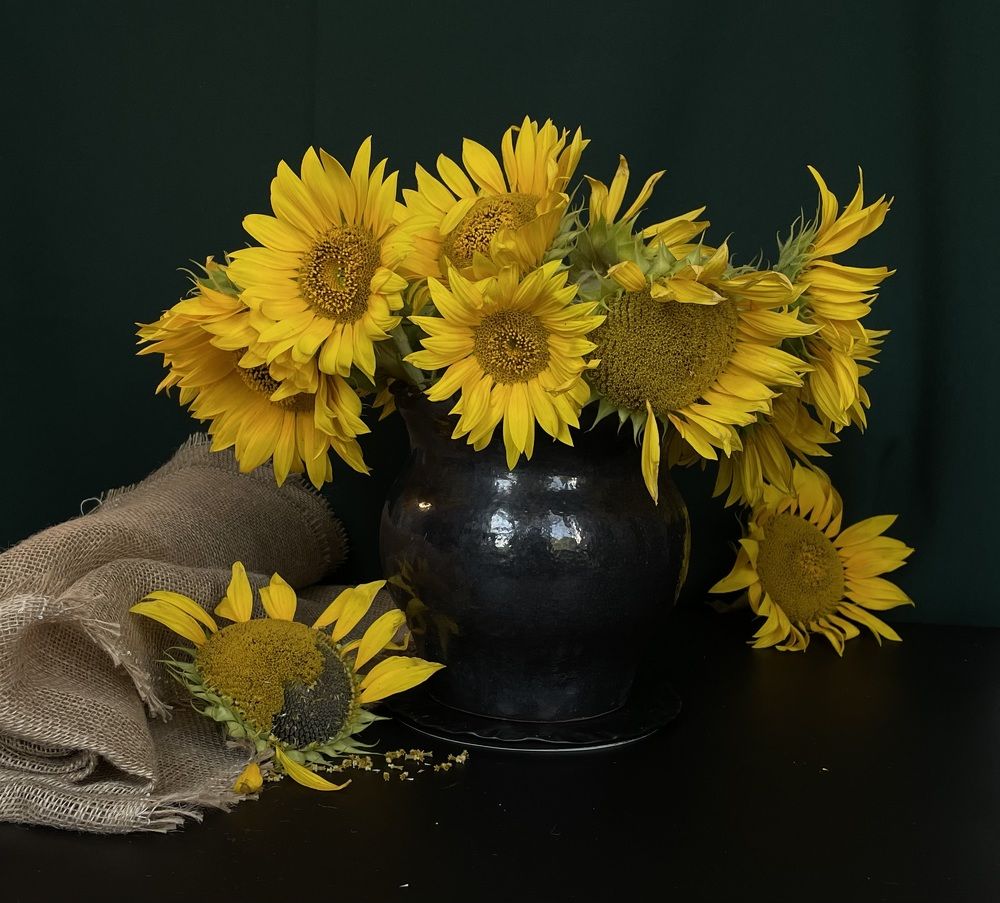 Фотография автора Рамзия Хисамутдинова