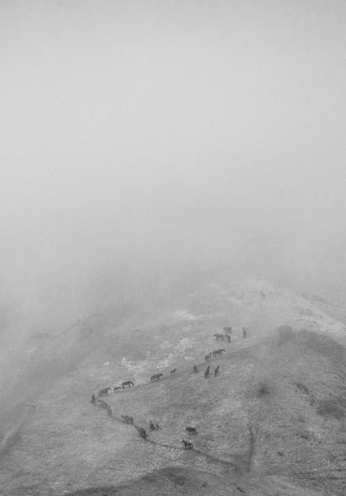 Photograph by Виталий Викторович