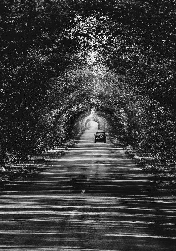 Photograph by Виталий Викторович