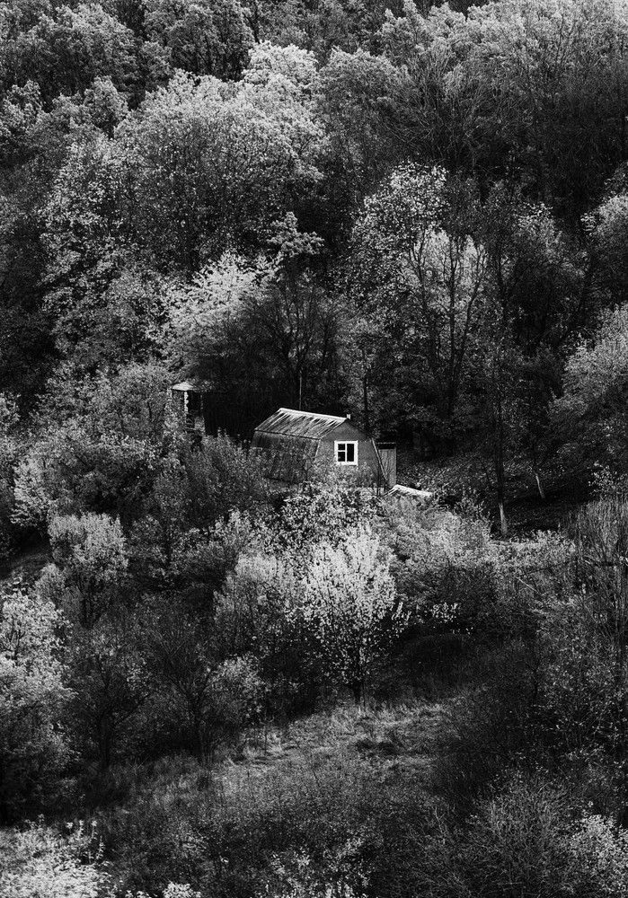 Photograph by Виталий Викторович