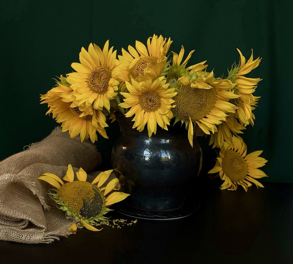 Фотография автора Рамзия Хисамутдинова