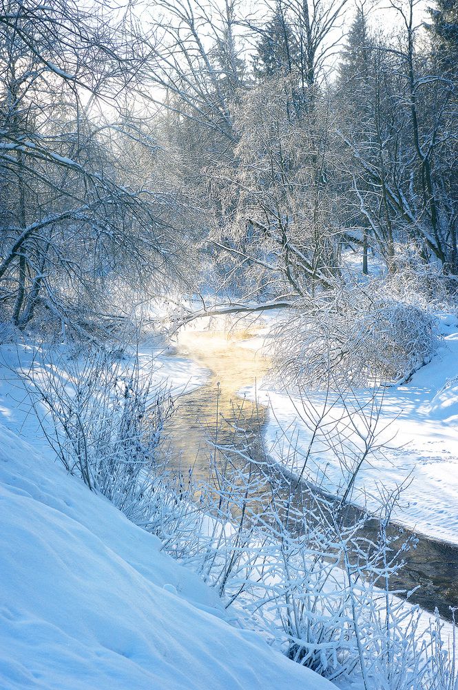 Фотография автора Иванов Андрей