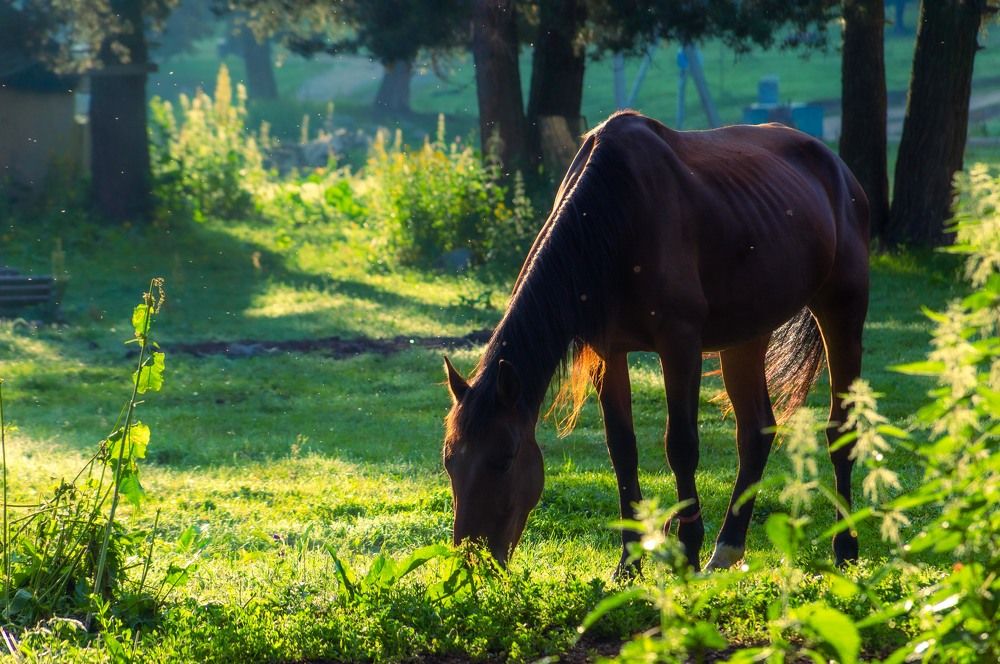 Photograph by Денис Калашников
