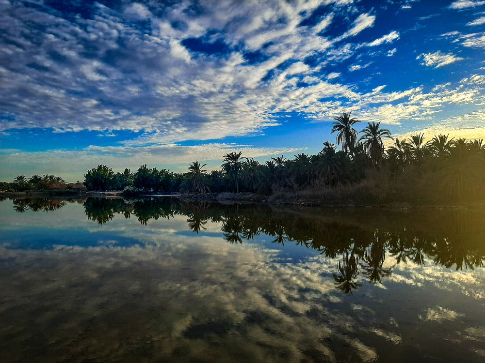 Photograph by SARAH NOFAL