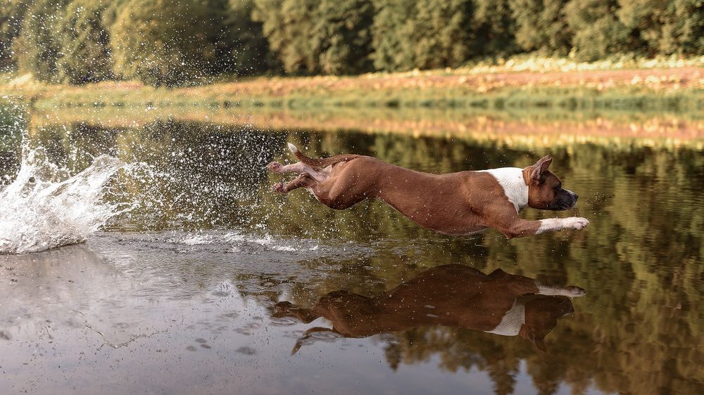 Фотография автора Мария Тигунова