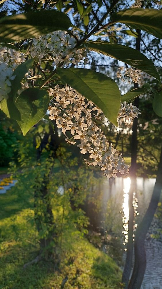 Photograph by Елизавета Ковалева