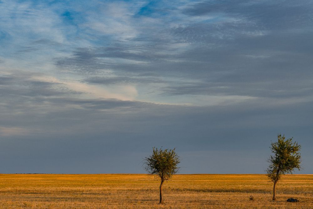 Photograph by Олег Корешонков