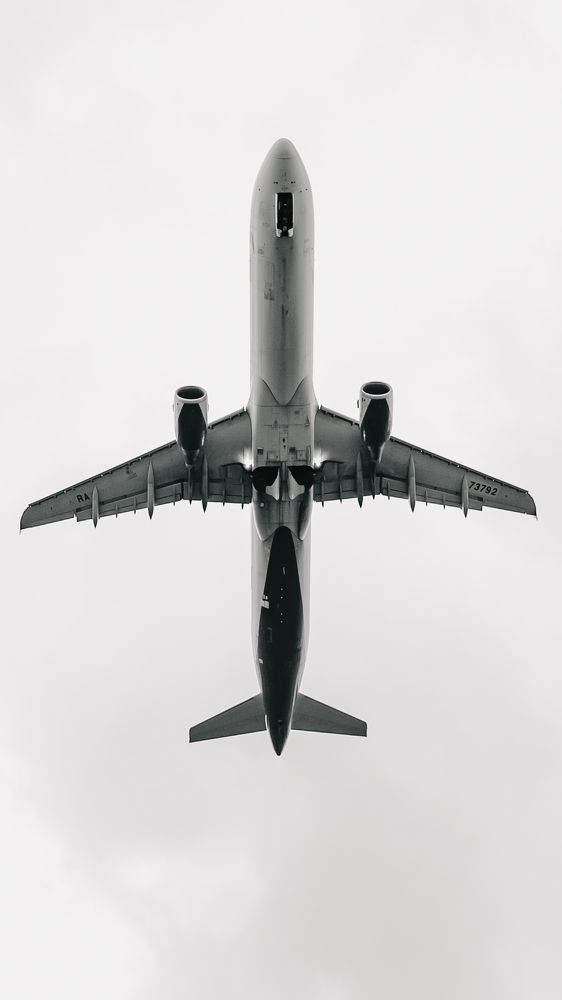 Photograph by Елена Раздвилова