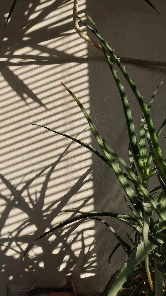 Photograph by Варвара Петросян