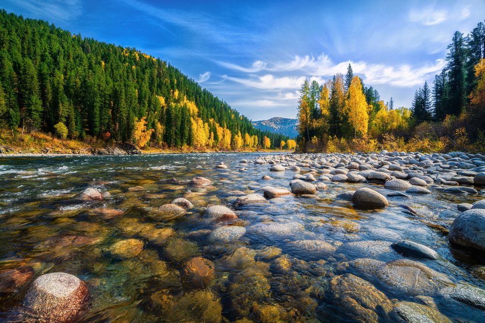 Золотая осень в тайге Западных Саян.