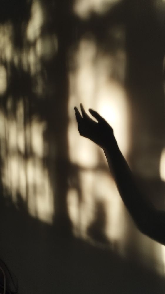 Photograph by Варвара Петросян