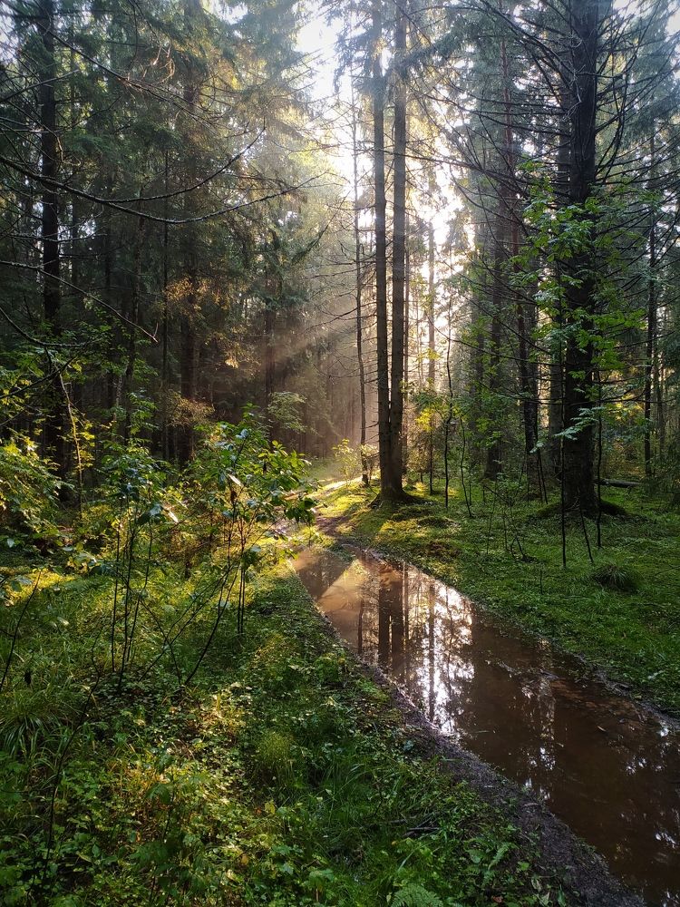 Photograph by Павел Краснослободцев