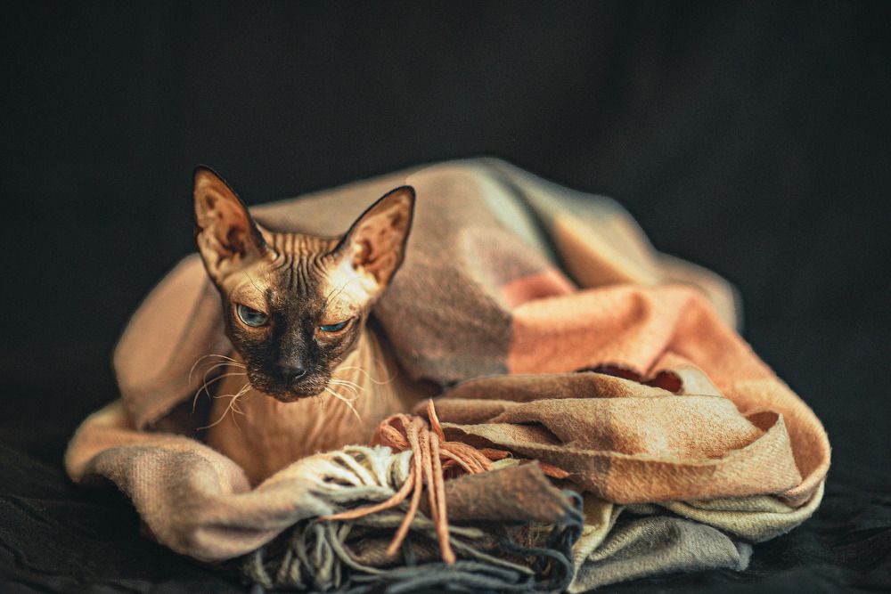 Photograph by Ирина Макарова