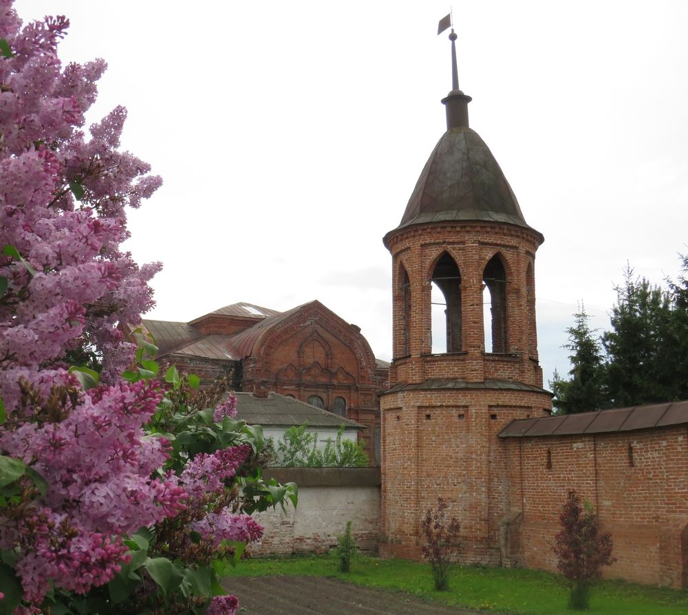 Photograph by Елена Кузина