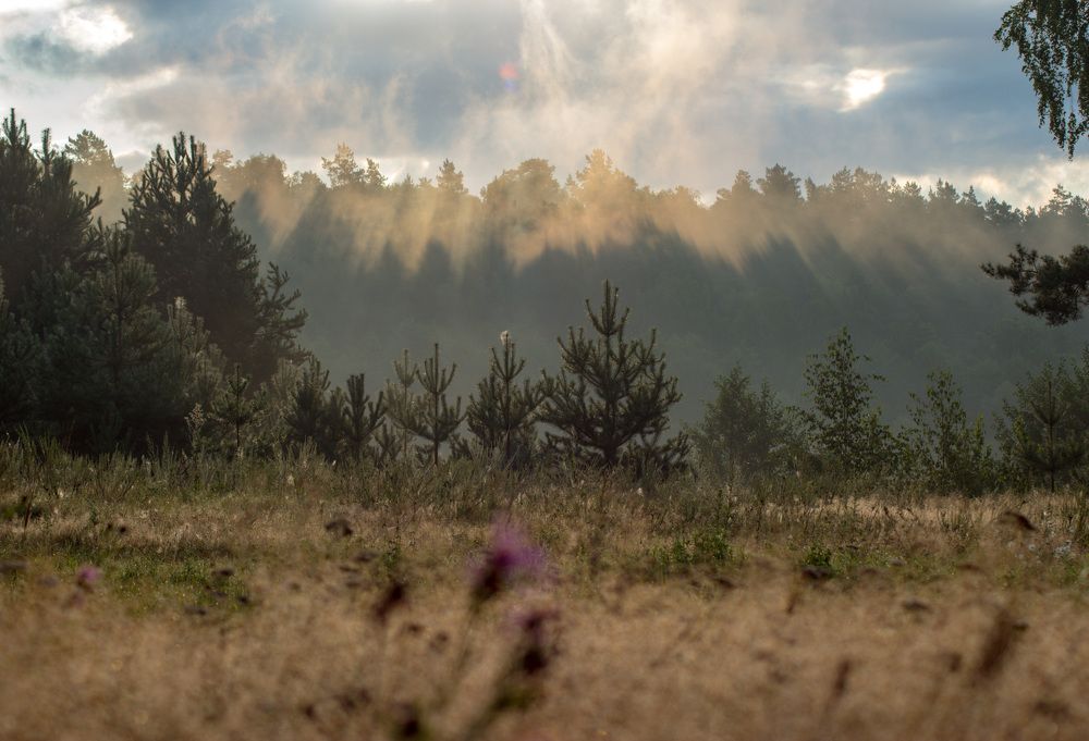 Photograph by Матвей Короткин