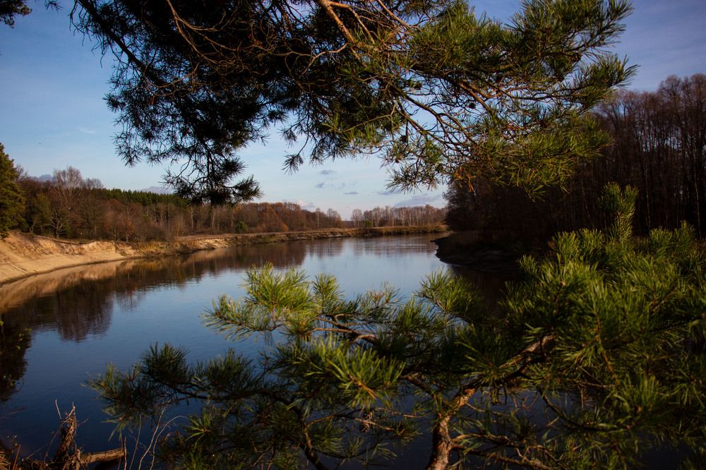 Фотография автора Елена Запертова