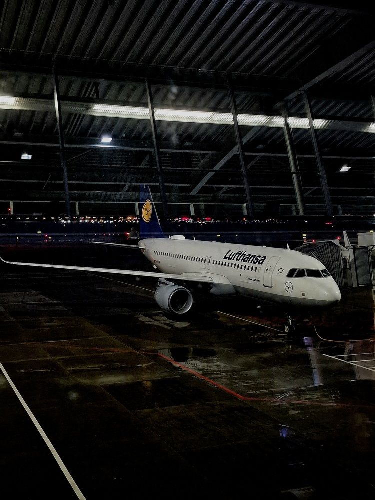 Фотография автора Maryna Pytliak