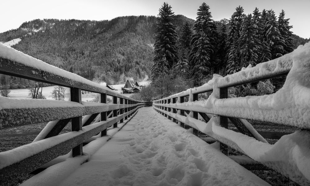 Photograph by Alain Veldin