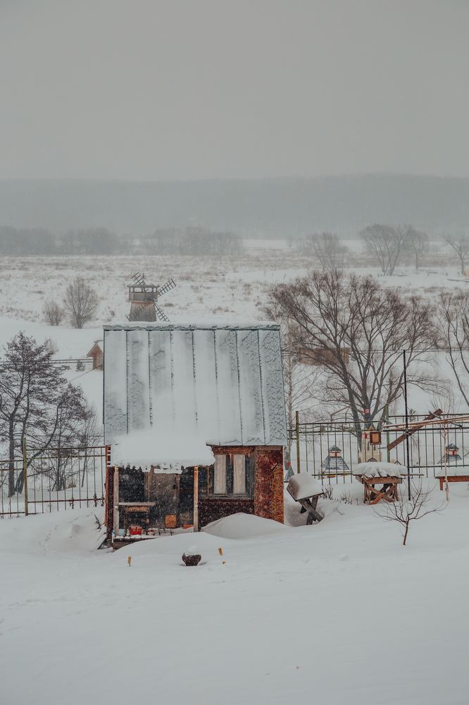 Фотография автора Ольга