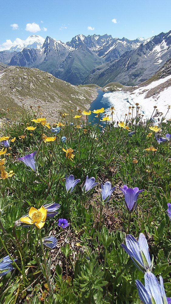 Photo #10251229