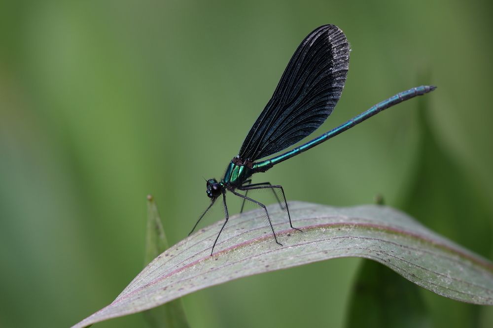 Photograph by Борис Лишневский