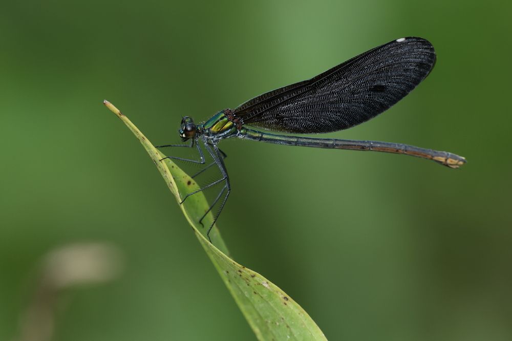 Photograph by Борис Лишневский