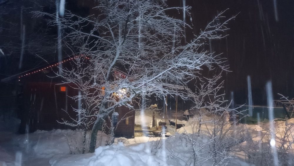 Photograph by Журавлева Ольга Яковлевна