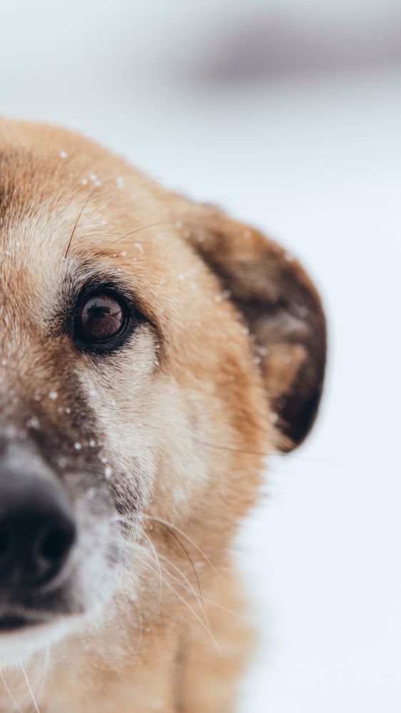 Photograph by Natasha Stugireva