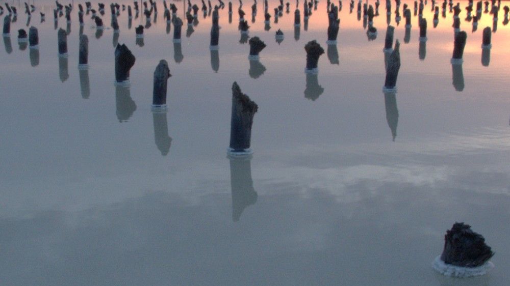 Photograph by Светлана Полякова