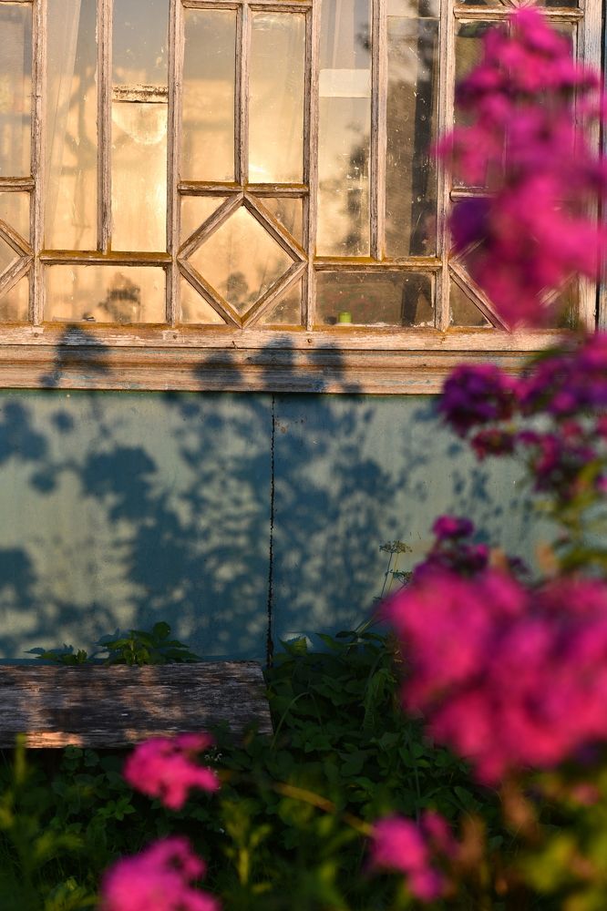 Photograph by Наталья Сергеева