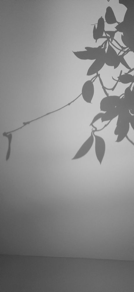 Photograph by Роман
