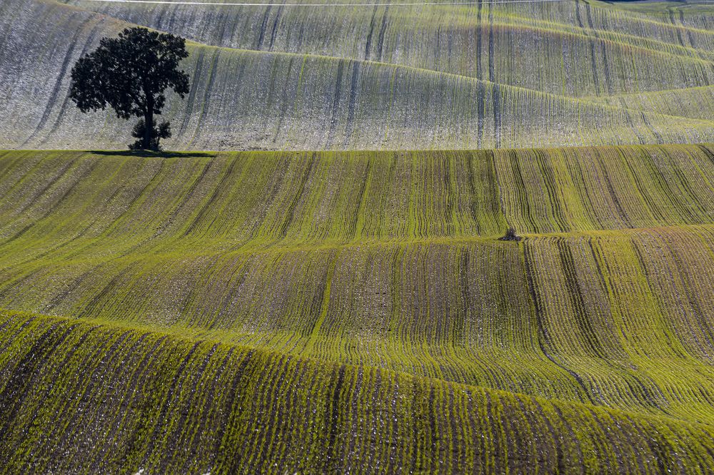 Sea in the Cerrato (I)